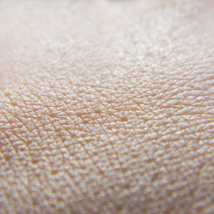 New insights into skin cells could explain why our skin doesn't leak